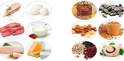 Essen von Proteinprodukten zur Gewichtsreduktion