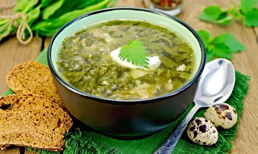 grüne Suppe für eine faule Diät